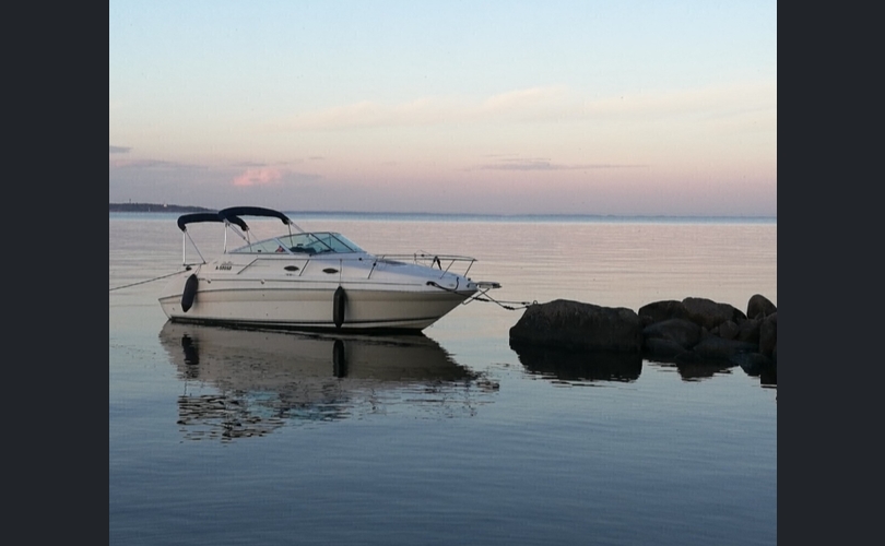 Sea Ray Sundancer-kuva-8